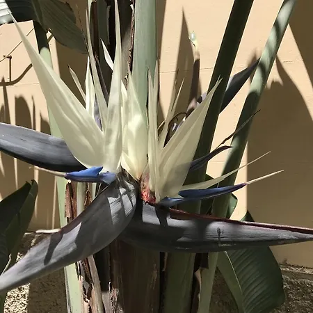 Civico7 Villa San Giovanni