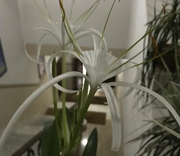 Civico7 Guest house Villa San Giovanni