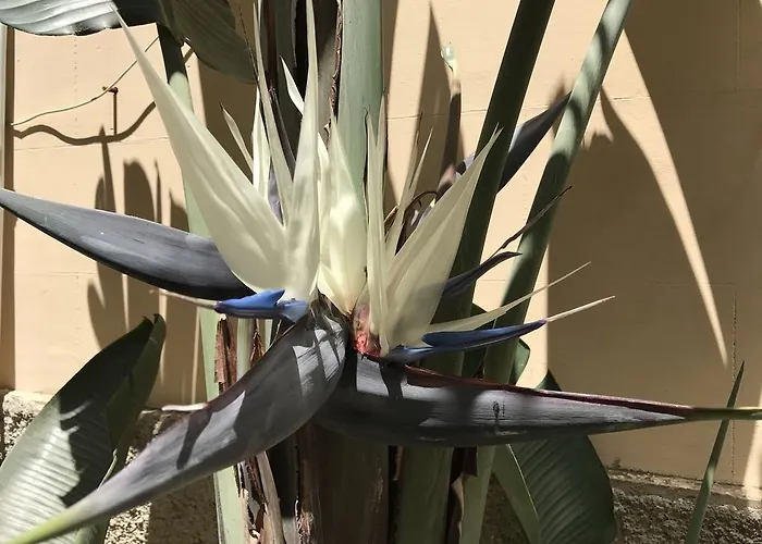 Civico7 Villa San Giovanni